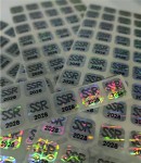 HOLOGRAM DO LEGITYMACJI STRAŻNIKA SPOŁECZNEJ STRAŻY RYBACKIEJ 2028